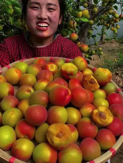 优质农产品的价值与未来发展路径