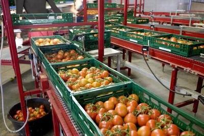 探索建设现代化农产品市场物流体系，打通农产品上行之路