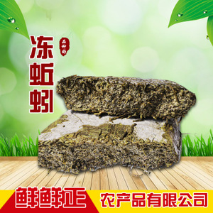 蚯蚓产业全解析 从养殖到市场的绿色经济之路